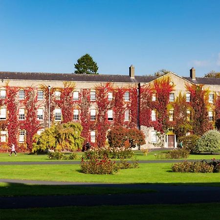 Maynooth Campus Accommodation Ngoại thất bức ảnh